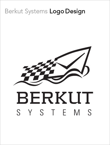 Berkut Systems Logo Design