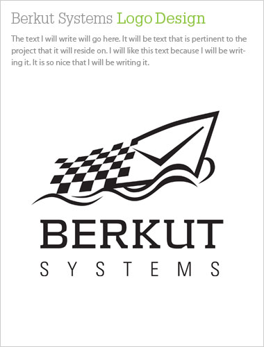 Berkut Systems Logo Design